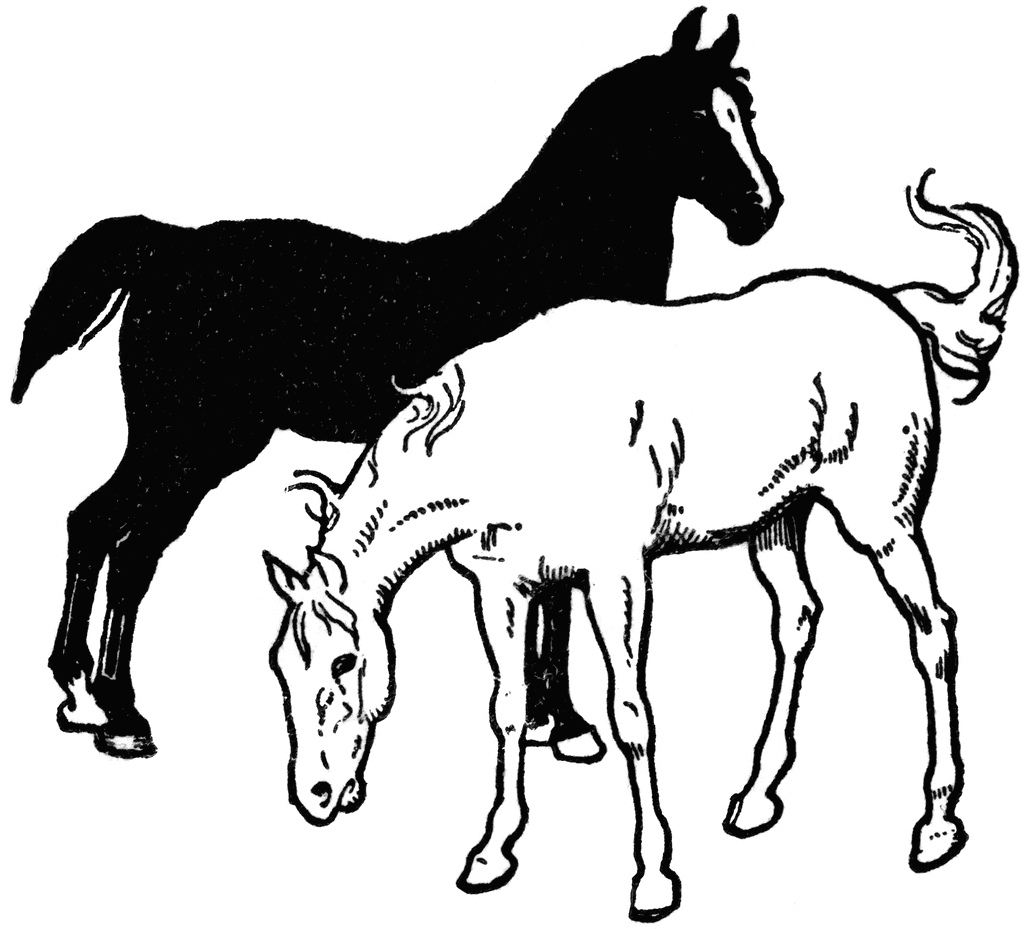 Horses Clip Art