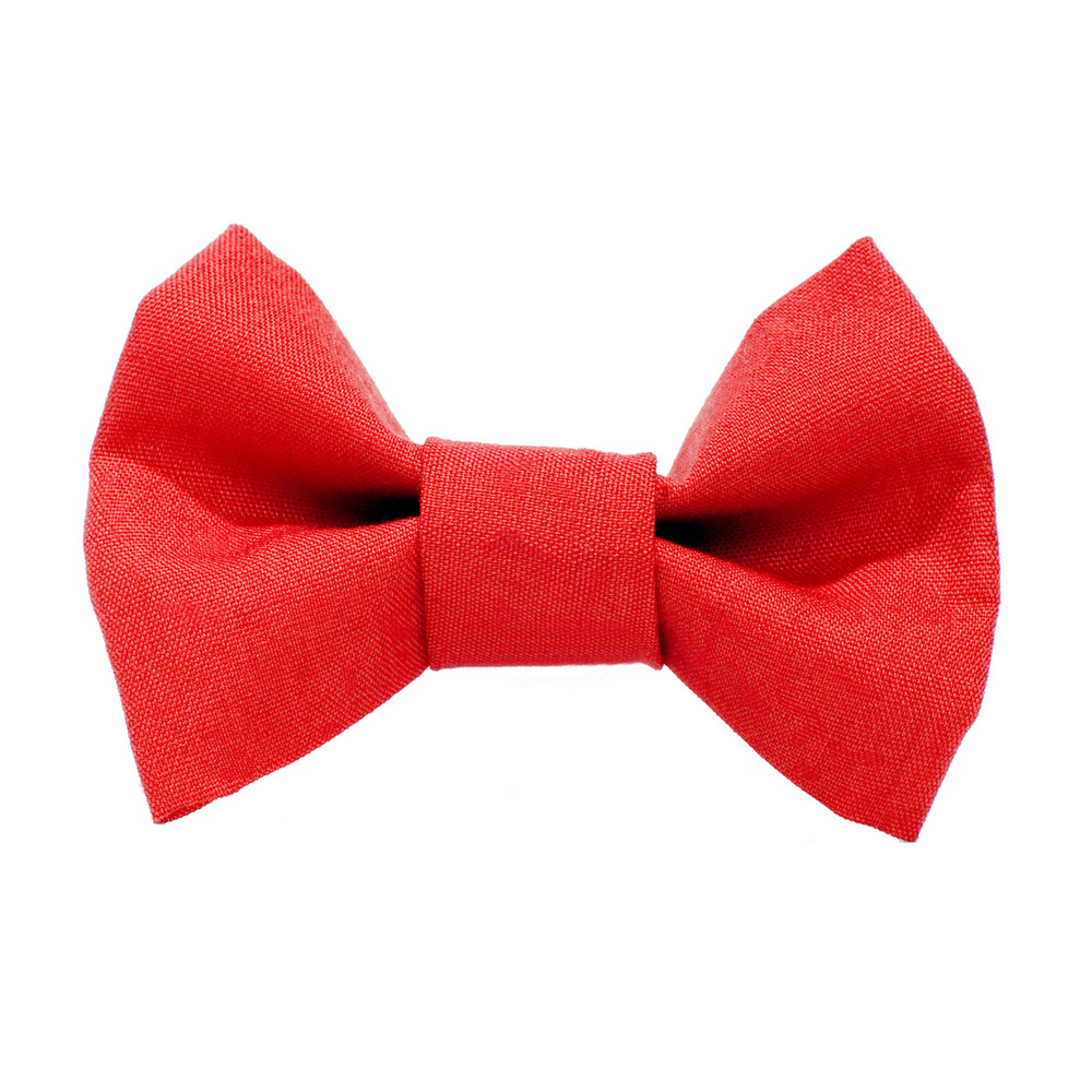 OSKAR & KLAUS — Sweet Pickles' Design Bow Tie - The Boss Is In