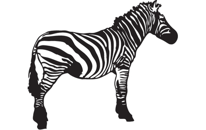 Zebra Print - Vector download
