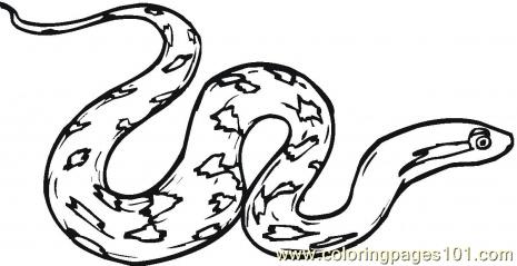 Rattle snake Coloring Page - Free Snake Coloring Pages ...
