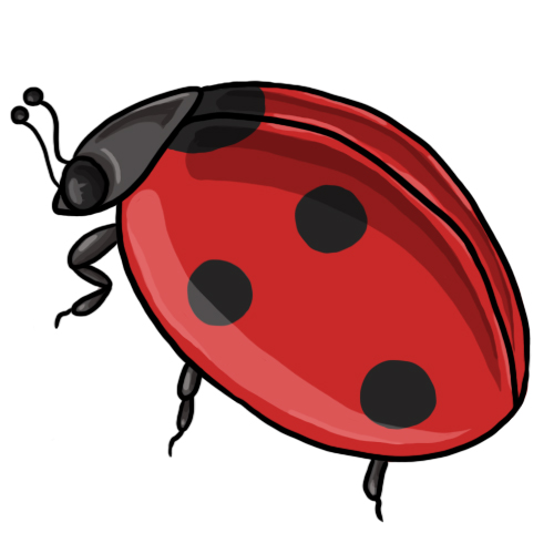 Ladybug Clip Art Free Download - Free Clipart Images