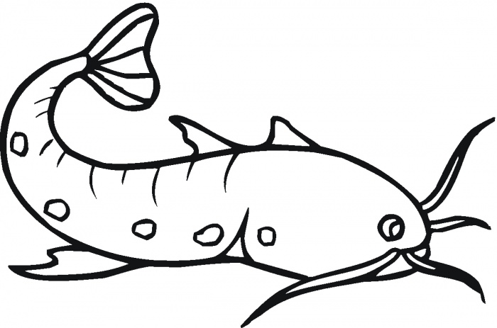 Catfish Clip Art - Clipartion.com