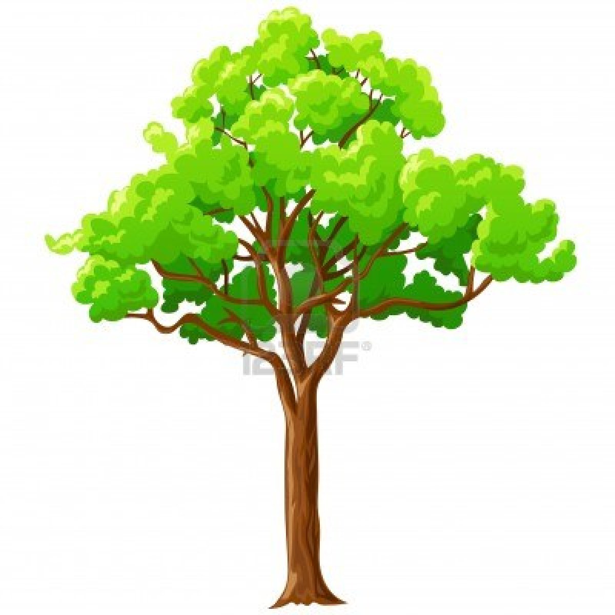 Tree Background Clipart