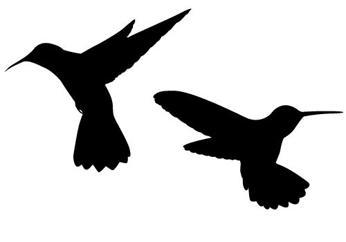 Hummingbird clipart black and white
