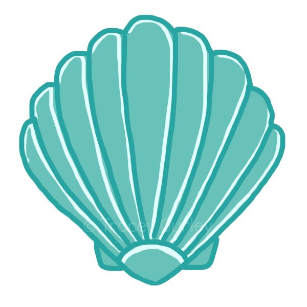 Sea shells clipart free - ClipartFox