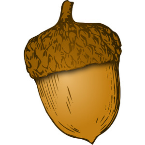 Clip art acorn nuts - ClipartFox