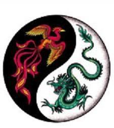 Black dragon, Yin yang and Black