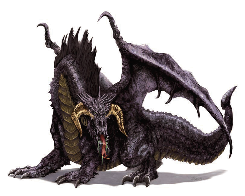 Black Dragon (Dungeons & Dragons) | Dragons | Fandom powered by Wikia