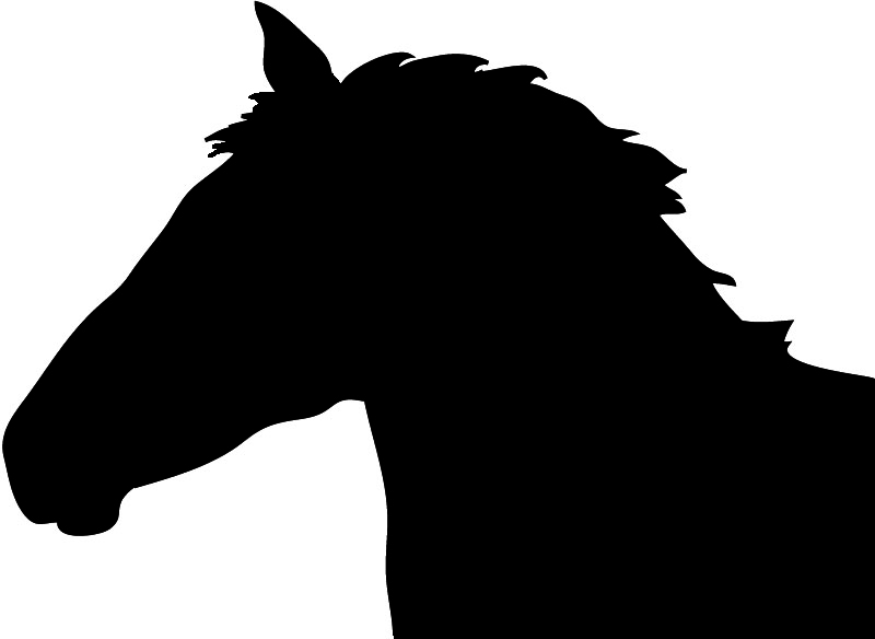 1000+ images about Cakes - Horses Silhouette