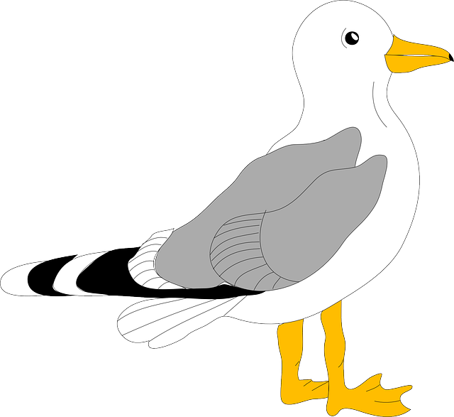 CARTOON, BIRDS, BIRD, GULL, SEAGULL, FLYING, FREE - Public Domain ...