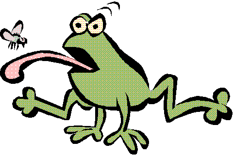 Frog Artwork | Free Download Clip Art | Free Clip Art | on Clipart ...