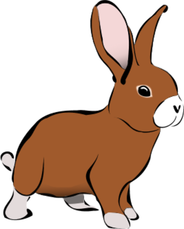 Rabbit - vector Clip Art