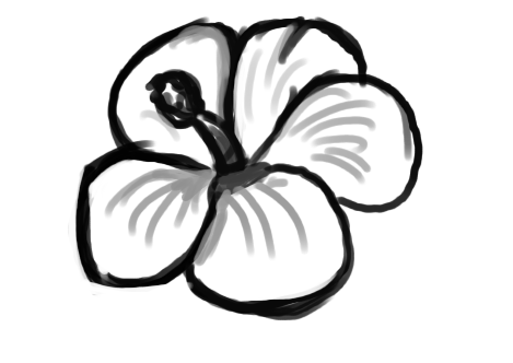 Hibiscus Outline