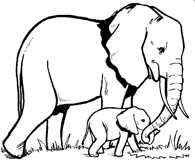 mom and baby elephant outline