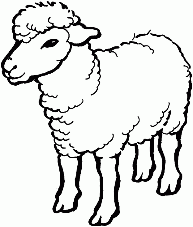 Lamb Beautiful Image Drawing | Drawing Images