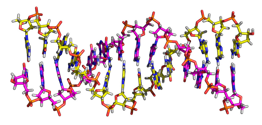 DNA Helix Molecule.jpg | Mira Images