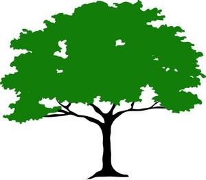 African Tree Clipart