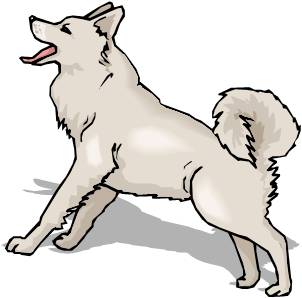 Husky dog hd clipart - ClipartFox