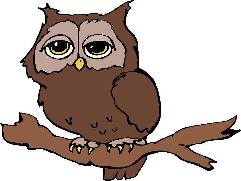 Owl Pics Cartoon | Free Download Clip Art | Free Clip Art | on ...