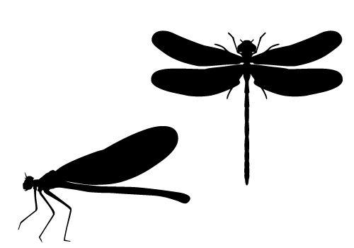 28+ Dragonfly Silhouette Clip Art