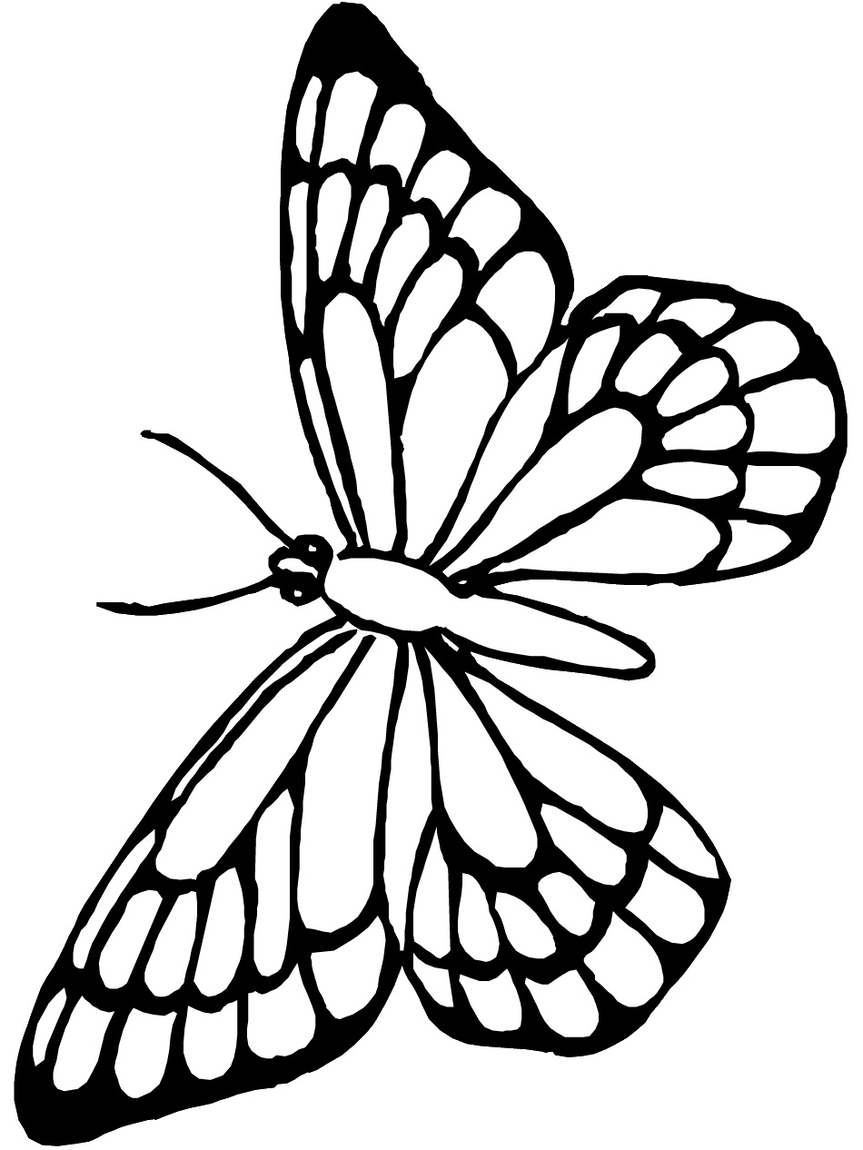 Monarch Butterfly Outline | Free Download Clip Art | Free Clip Art ...