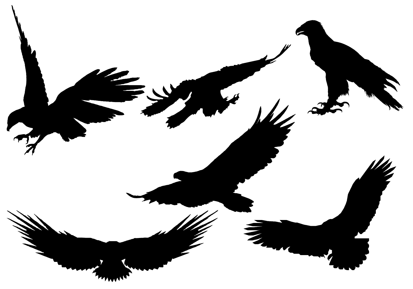 Eagles silhouette clipart