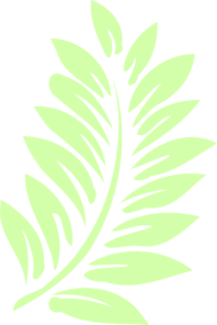 palm-leaf-md.png