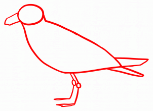 How to Draw Seagulls, Step by Step, Birds, Animals, FREE Online ...