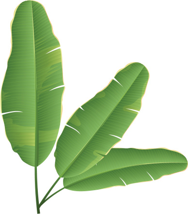 Banana Tree Clip Art, Vector Images & Illustrations