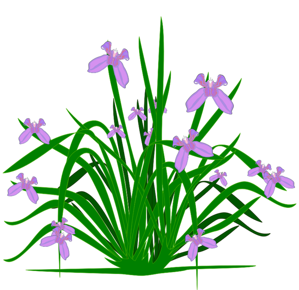 Flowering Plants Clipart