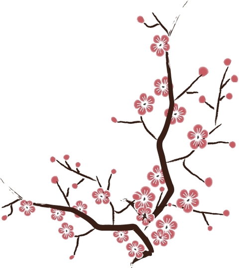 Cherry Blossom Vector Clipart - Free to use Clip Art Resource