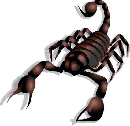Download Scorpion clip art Vector Free