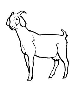 Best Photos of Boer Goat Coloring Pages Printable - Goat Clip Art ...