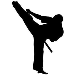 Amazon.com - Martial Arts Wall Decal Sticker - Karate Sports ...
