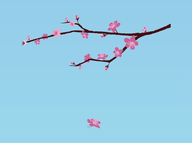 Cherry Blossom Flower Vector - Download 1,000 Vectors (Page 1)