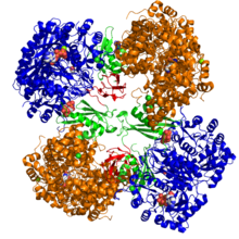 220px-Pyruvate_Carboxylase_ ...