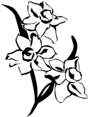 Exotic Flower Arrangement in Vase | Church Flower Clipart