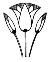 Lotus coloring pages | Super Coloring