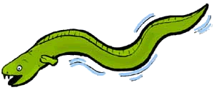 Eel Clip Art - Free Clipart Images