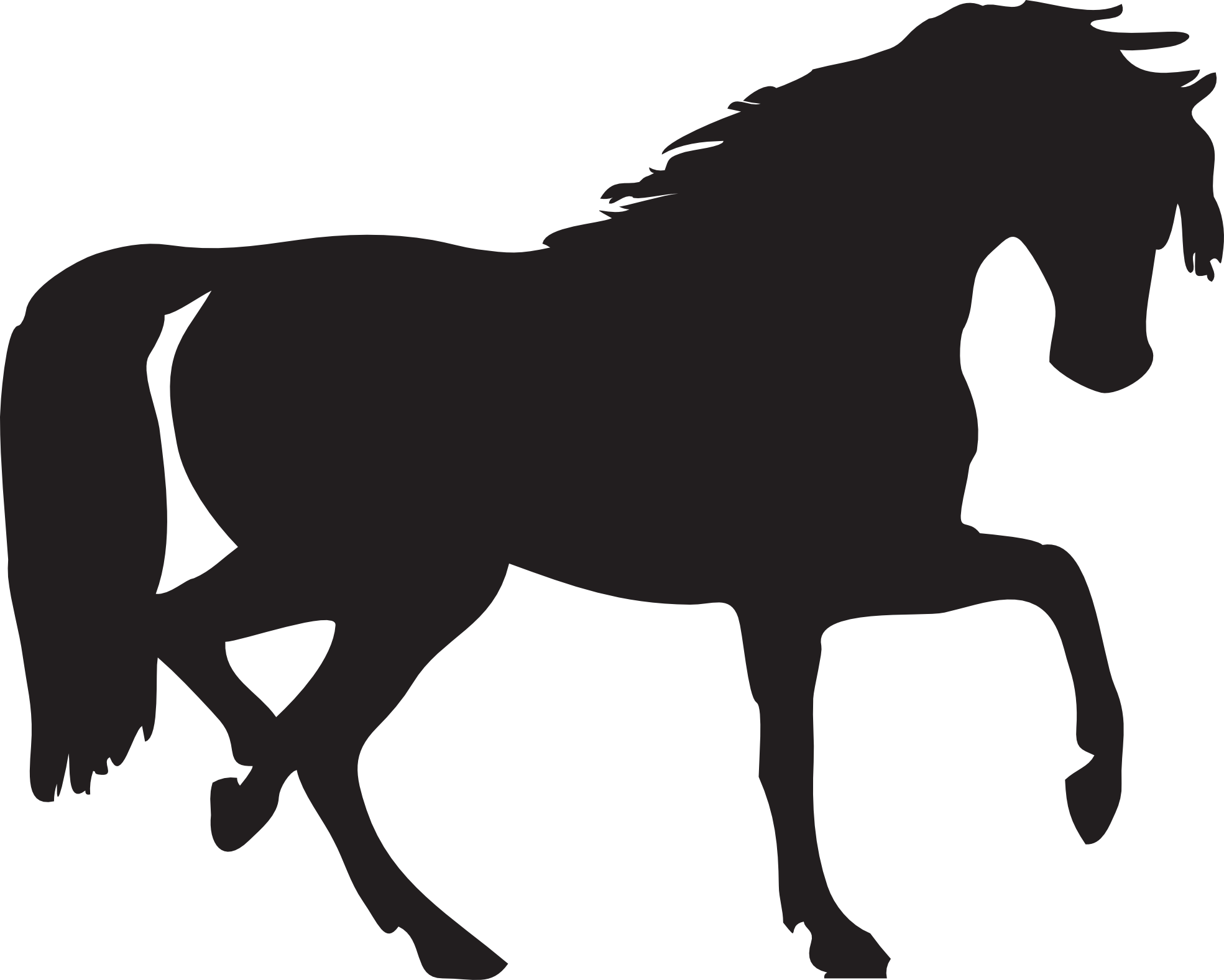 Horse Silhouette Two | Isolated Stock Photo