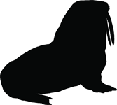 Walrus Silhouette - ClipArt Best