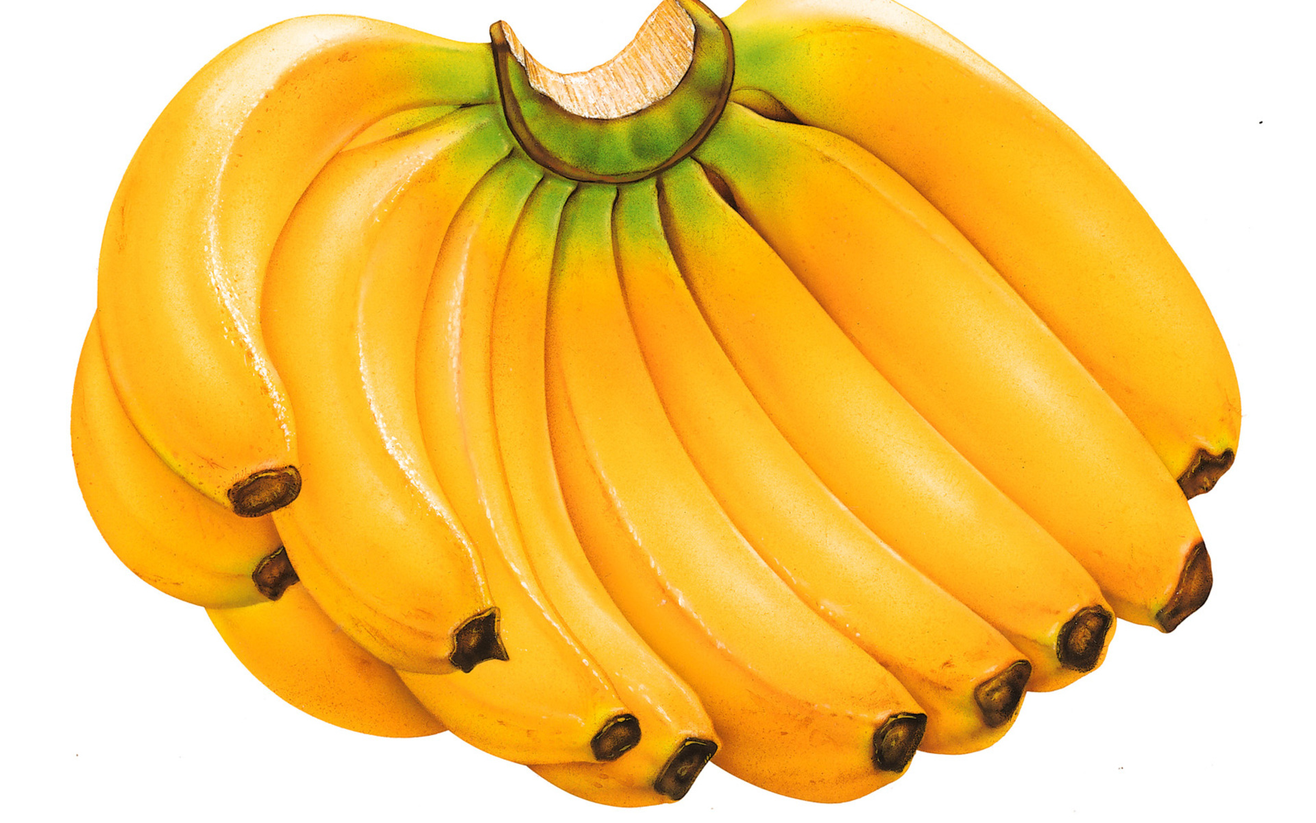 Pics For > Picture Of Banana Fruit