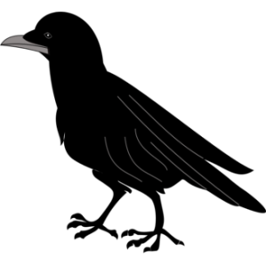 Black bird silhouette clip art free vector image #33488