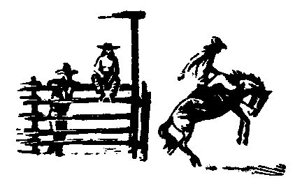 Rodeo Pictures Free