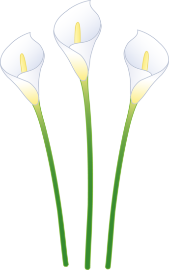 Easter Lily Clip Art Free