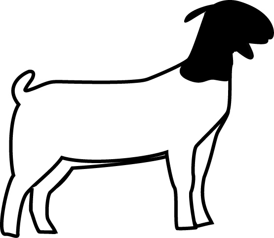 Boer Goat Outline Goat clipart - Free Clipart Images