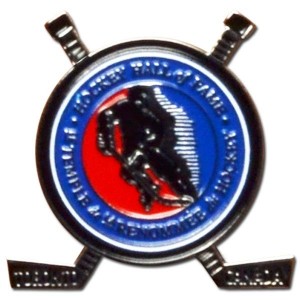 HHOF Crossed Sticks Lapel Pin - The Official Online Store of the ...