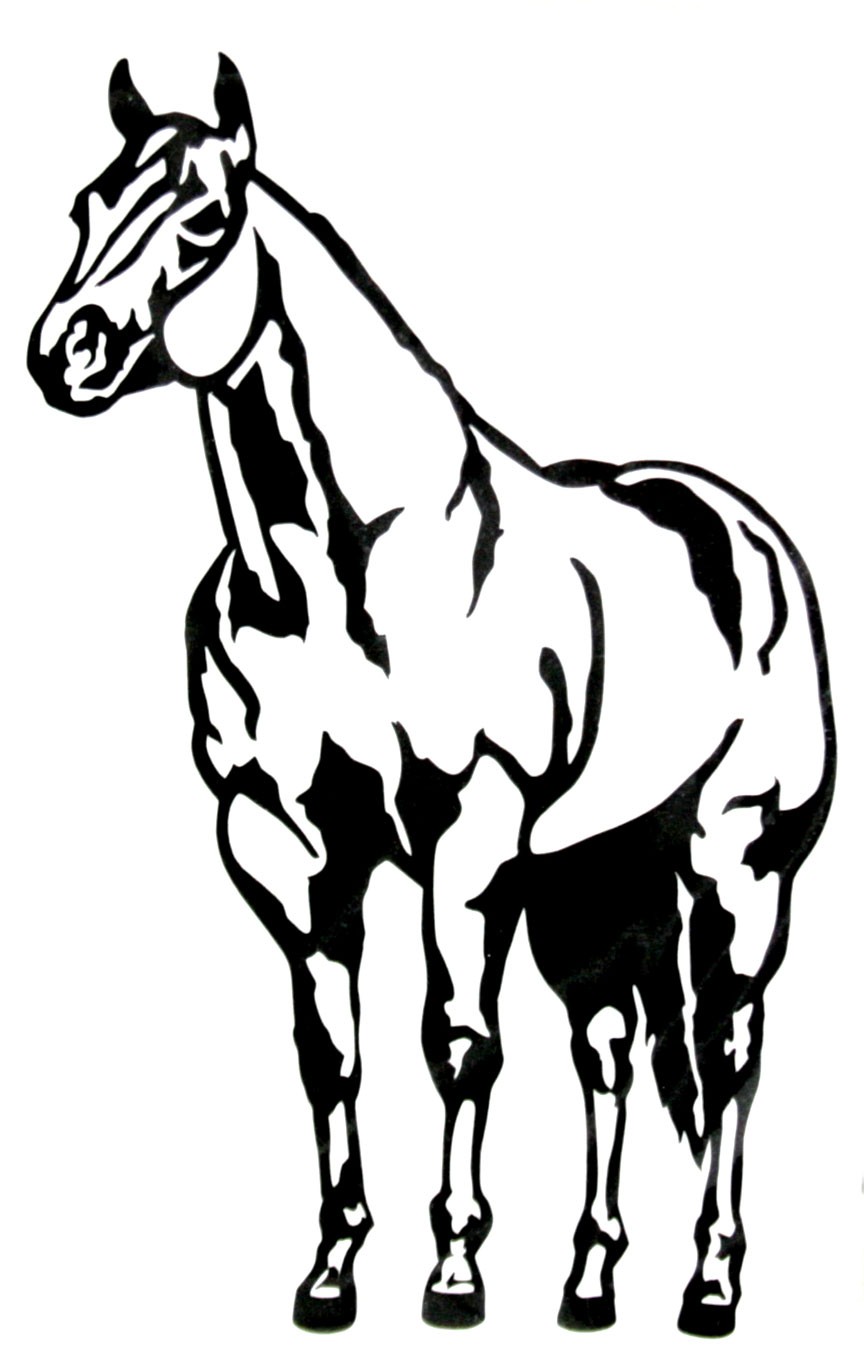 Teskey's Saddle Shop: Western Graphics Horse Decal