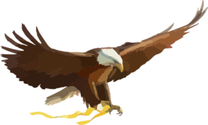 soaring-eagle-md.png