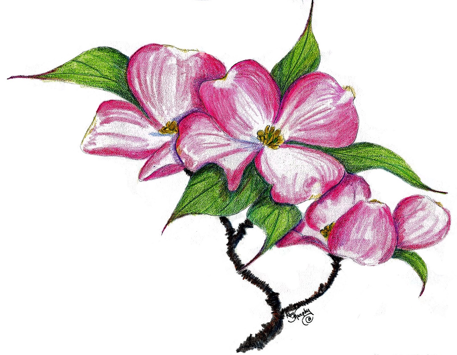 1000+ images about Dogwoods | Dogwood flower tattoos ...